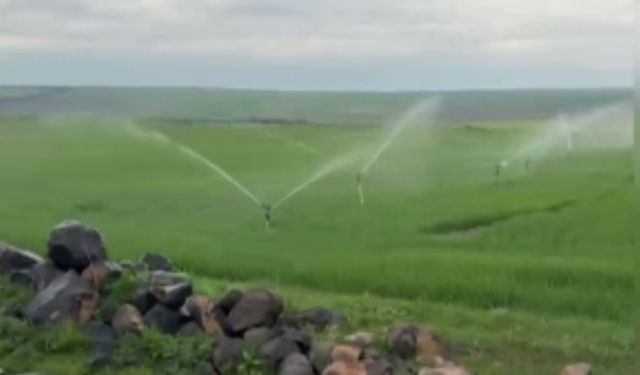 Şanlıurfa ve Mardin'de Akla Ziyan Davranış: Dünyada Emsali Olmayan Sulama Yapıldı