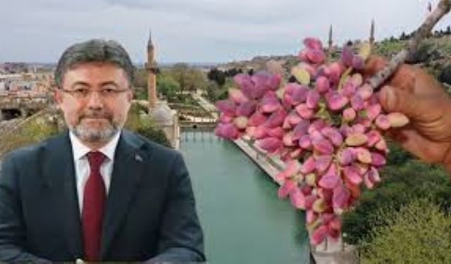 Zirai Don Şanlıurfa’yı Vurdu!