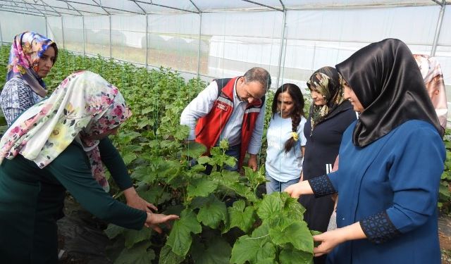 Şanlıurfa’dan Kadın Çiftçilere İlham: Yavuzeli’nde Seracılıkta Büyük Başarı!