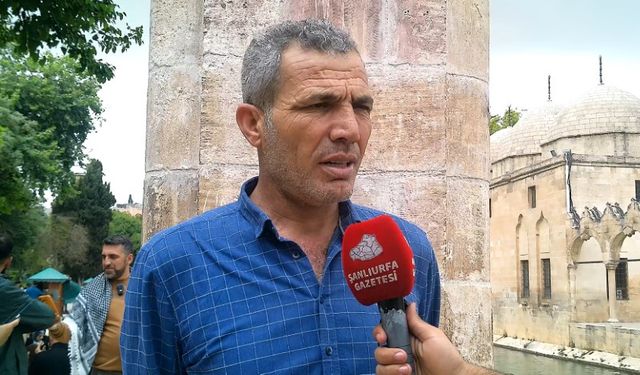 Şanlıurfa'da Kurban Fiyatları Yüksek: Vatandaş Ne Diyor?