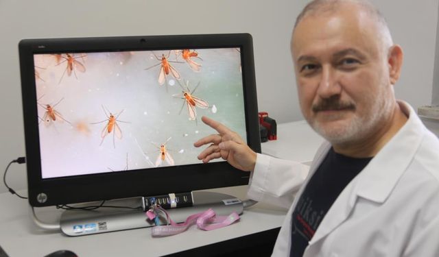 Yakarca Sineklerine Karşı Korunma Yolları