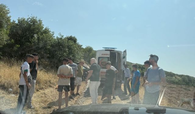 Şanlıurfa’da Kırsalda Feci Kaza!