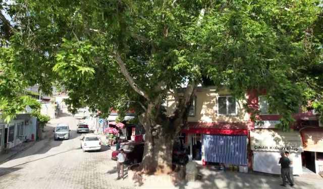 600 Yıllık Tarih Şanlıurfa’da Ayakta Duruyor!