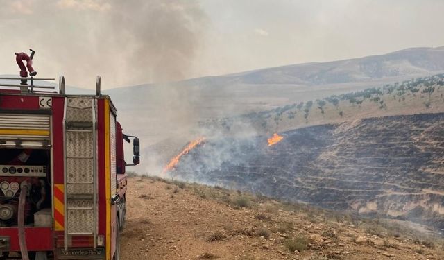 Şanlıurfa’da Orman Yangını! Rüzgar Alevleri Yaydı, Müdahale Sürüyor