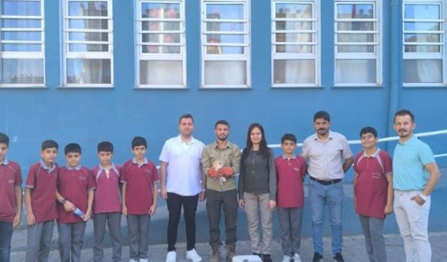 Birecik’te Sınıfa Misafir Olan Baykuş Doğaya Kavuştu