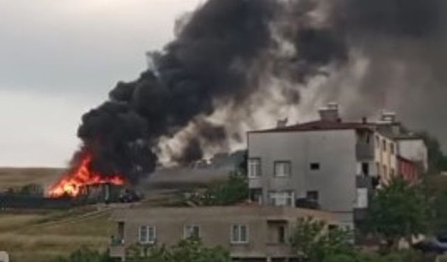 Kocaeli'de Korkutan Yangın!