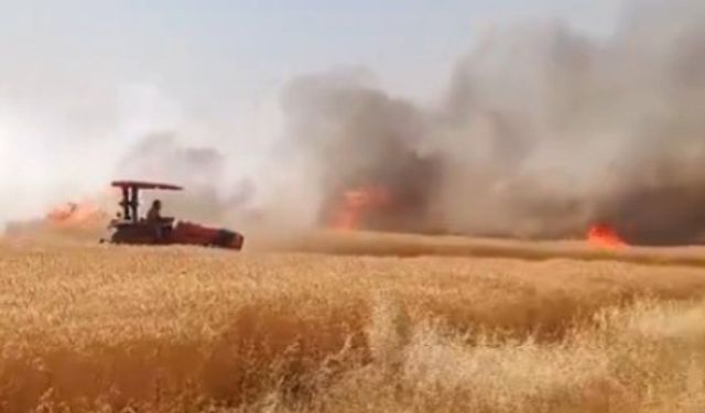 Şanlıurfa Harran’da Dev Tarla Yangını!