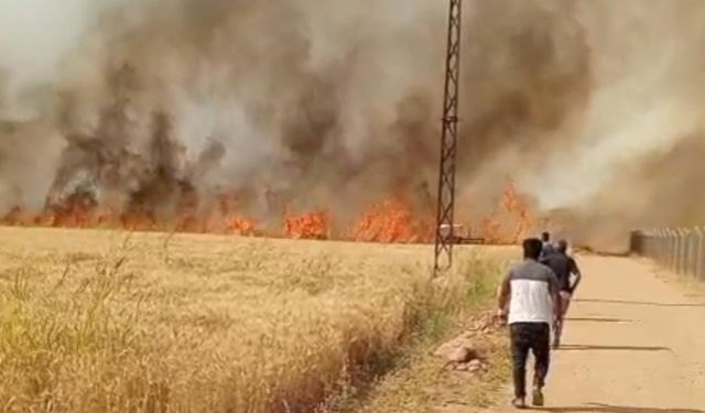 Şanlıurfa İtfaiyesi’nden 24 Saatte 92 Yangına Müdahale!