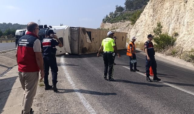 Silifke’de Korkutan Kaza! Angus Yüklü Tır Devrildi, Hayvanlar Ormana Kaçtı