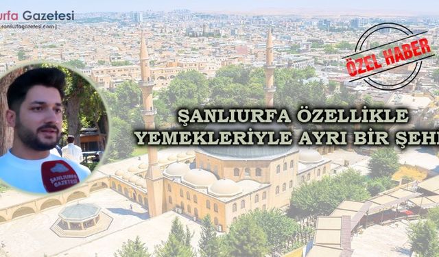 Göbeklitepe’de zaman yolculuğu: Binlerce yıllık gizem yerinde görülmeli