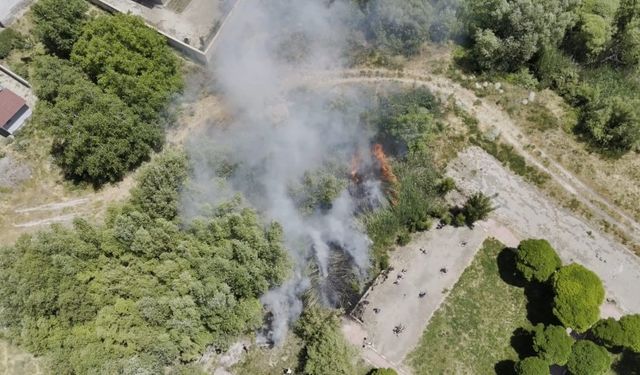 Van Gölü Sahilinde Korkutan Yangın!