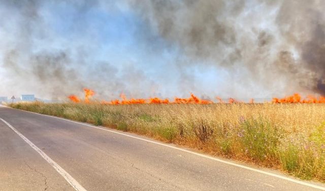 Şanlıurfa’da Anız Yakanlara Hukuki İşlem Uygulanacak