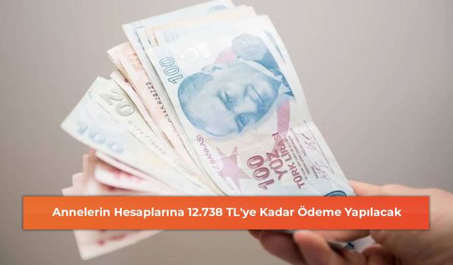 Annelerin Hesaplarına 12.738 TL'ye Kadar Ödeme Yapılacak