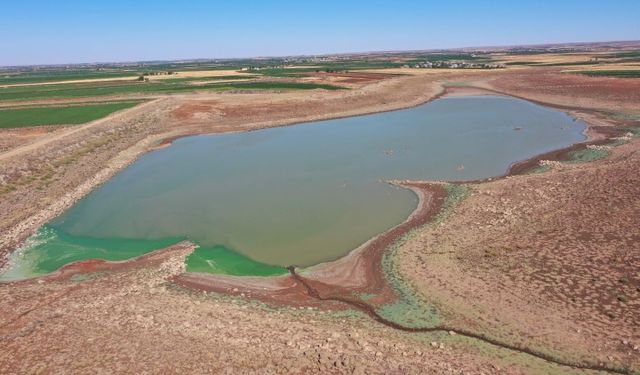 Viranşehir’de Çiftçinin Yüzü Güldü: Sulutepe Göleti Yeniden Doluyor