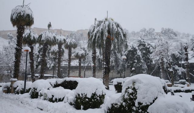 Şanlıurfa’da Kar Kalınlığı Kent Merkezinde 18 Santimetreye Ulaştı
