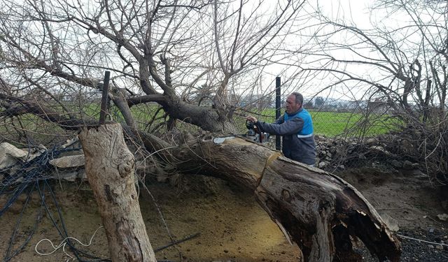 Birecik Belediyesi Park ve Bahçelerde Çalışmalarını Sürdürüyor