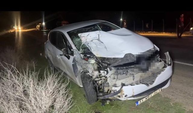 Şanlıurfa Ceylanpınar’da At Arabasına Otomobil Çarptı: 2 Yaralı