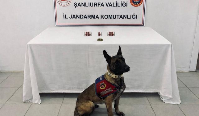 Şanlıurfa Jandarması Narkotik Denetimlerini Sıklaştırdı!
