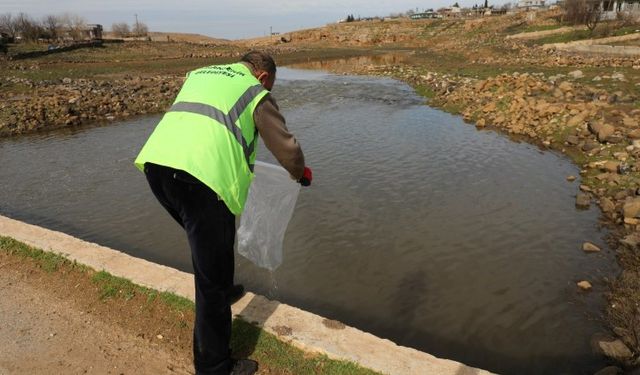 Viranşehir’de Dere Yataklarında Erken Dönem Larva Mücadelesi Sürüyor