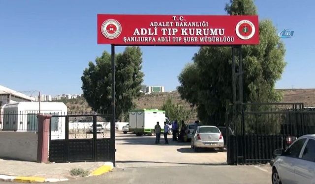 Şanlıurfa'da Su Birikintisine Düşen Çocuk Hayatını Kaybetti