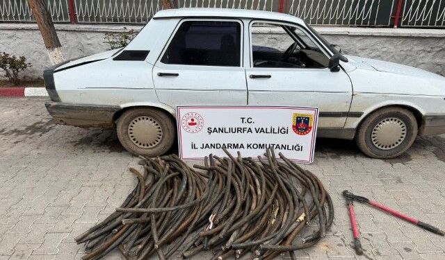 TİGEM Arazisinde Kablo Hırsızlığı: Şanlıurfa’da Zararı 1 Milyon 110 Bin TL Olan Operasyon