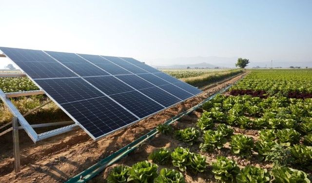 Türkiye’de güneş enerjisinde tarihi rekor: 12 yılda 641 kat artış