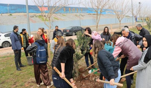 Türkiye–Romanya Dostluk Parkı için Şanlıurfa’da ilk fidanlar dikildi