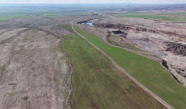 Şanlıurfa Ekipleri Bölge Yaban Hayatını Ceylanlarla Canlandırıyor!