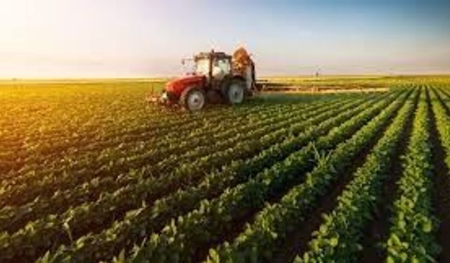 Tarımsal Girdi Fiyat Endeksi Çiftçiyi Nasıl Etkileyecek?