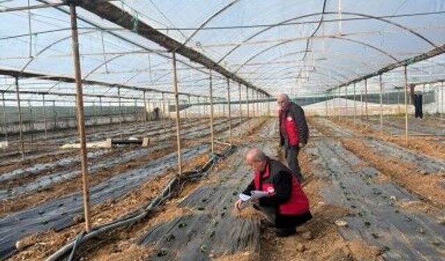 Şanlıurfa’da Pestisit Denetimleri Sıkılaşıyor