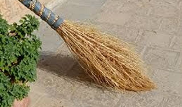 ÇALI SÜPÜRGE SATIN ALINACAKTIR