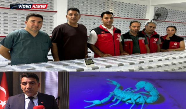 Şanlıurfalı firmadan estetikte dikkat çeken yenilik: Akrep zehrinden botoks kremi