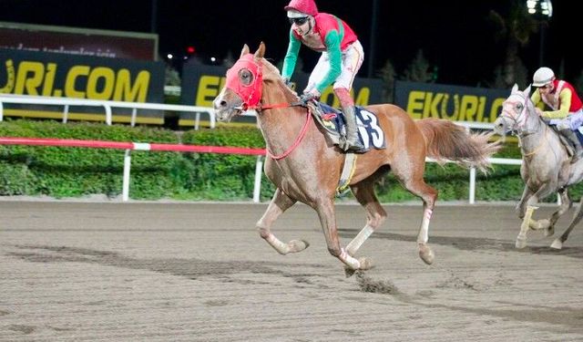 ŞUTB Kupası’nda Zafer Akolhan’ın Oldu