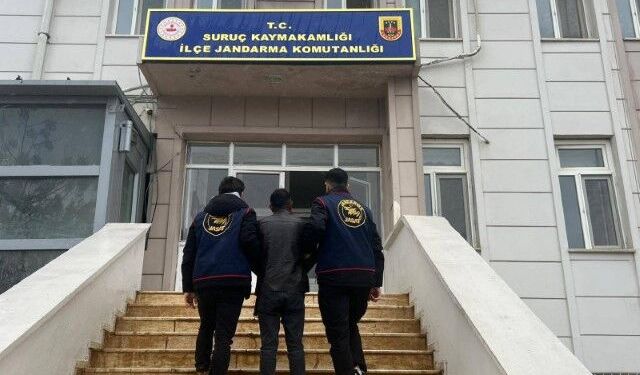 Şanlıurfa’da 4 Yıl Hapis Cezası Bulunan Dolandırıcılık Şüphelisi Yakalandı