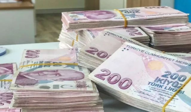 Hazine ve Maliye Bakanlığı’ndan Dev İç Borçlanma Planı Açıklandı