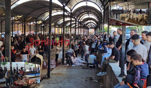 Şanlıurfa’da Kurban Kesim Alanlarında Yoğunluk Yaşandı