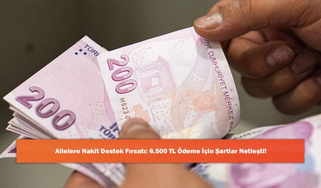 Ailelere Nakit Destek Fırsatı: 6.500 TL Ödeme İçin Şartlar Netleşti!