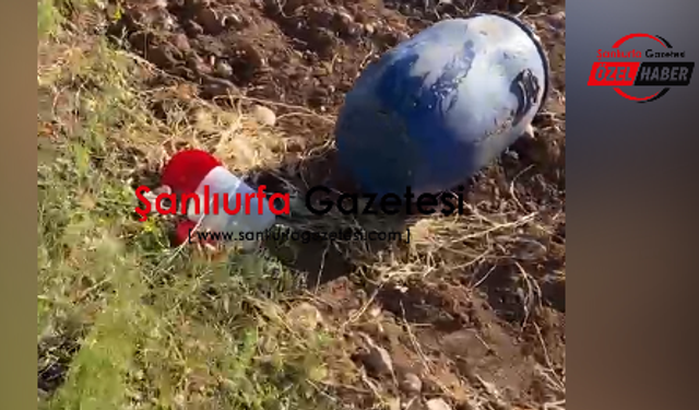 Şanlıurfa’da mezarlıkta varil içinde 11 cenin cesedi bulundu