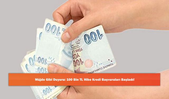 Müjde Gibi Duyuru: 100 Bin TL Hibe Kredi Başvuruları Başladı!