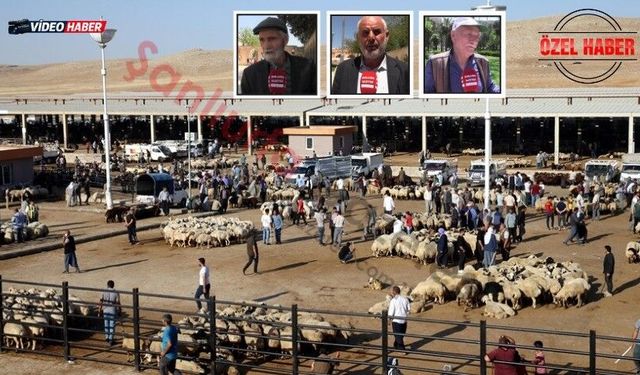 Şanlıurfalı vatandaş isyan etti: 4 Bin lirayla eskiden kurban keserdik!