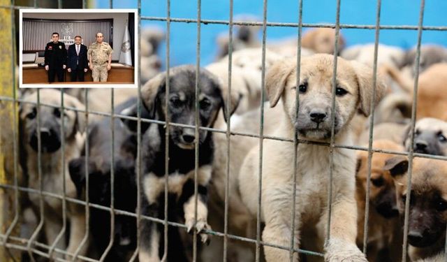 Vali Şıldak’tan müjde geldi; “Sokaklarımızı temizledik, sona yaklaşıyoruz”