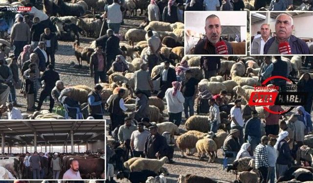 Şanlıurfa’da Kurbanlık Pazarında Bayram Arifesi Yoğunluğu: “Alım Var Ama Durgunluk da Hissediliyor”