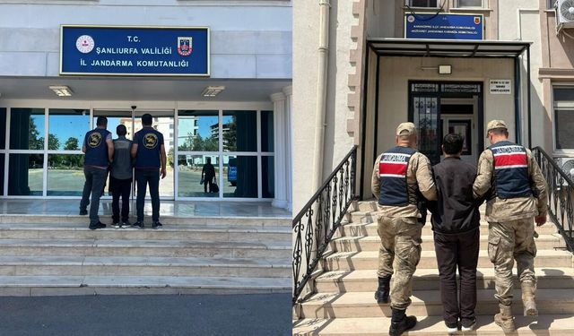 Şanlıurfa’da Aranan 2 Hükümlü Jandarma Operasyonuyla Yakalandı