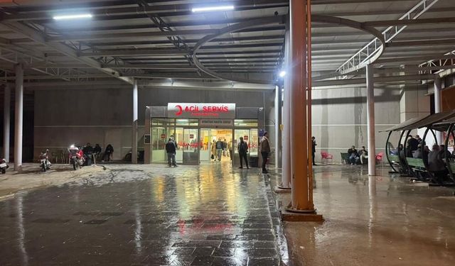 Birecik’te kanlı kavga; Amcasına da acımadı!