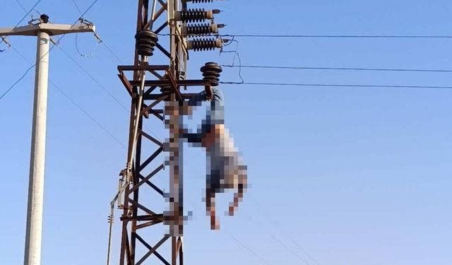 Şanlıurfa’da Elektrik Direğinde Akıma Kapılan İşçi Yaralandı