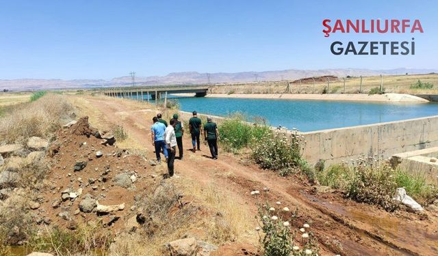 Şanlıurfa’da Suya Girmek Yasaklandı: Kurala Uymayanlara Ceza Kesilecek