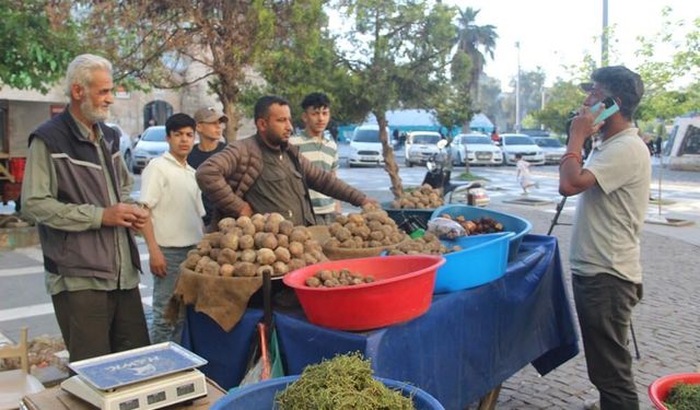 Şanlıurfa'nın o lezzeti damak çatlatıyor; Sadece 2 ay sofralarla buluşuyor!