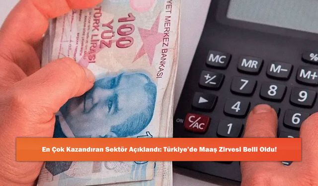 En Çok Kazandıran Sektör Açıklandı: Türkiye’de Maaş Zirvesi Belli Oldu!