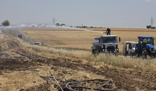 Şanlıurfa'da Tarım Arazisinde Yangın Paniği