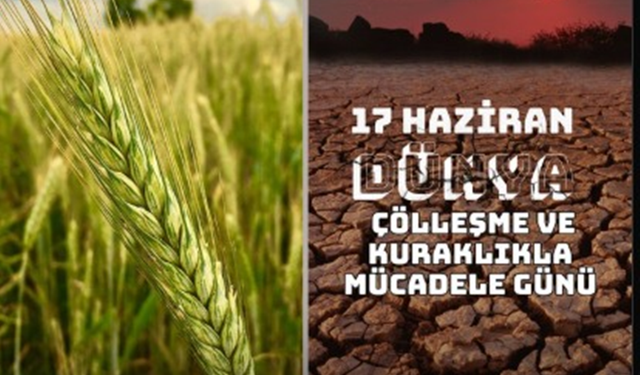 Şanlıurfalı vekil Eyyüpoğlu’ndan 17 Haziran paylaşımı